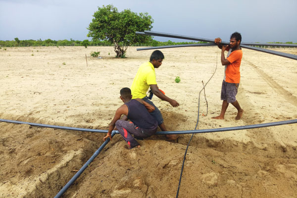 Main irrigation line